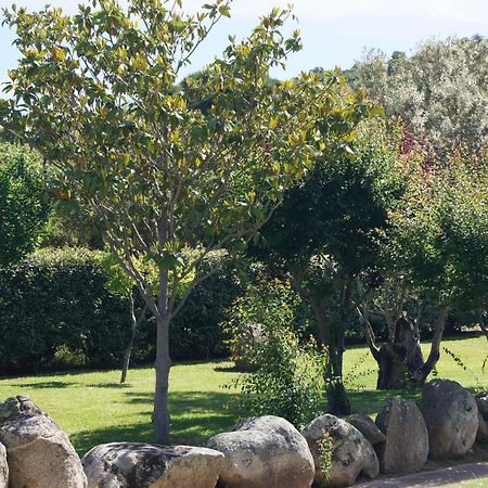 Les Jardins De Santa Giulia - Charmante Chambre D'Hote Porto Vecchio Exterior foto