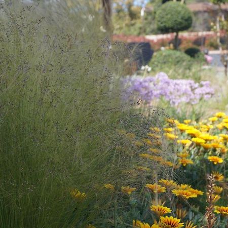Les Jardins De Santa Giulia - Charmante Chambre D'Hote Porto Vecchio Exterior foto